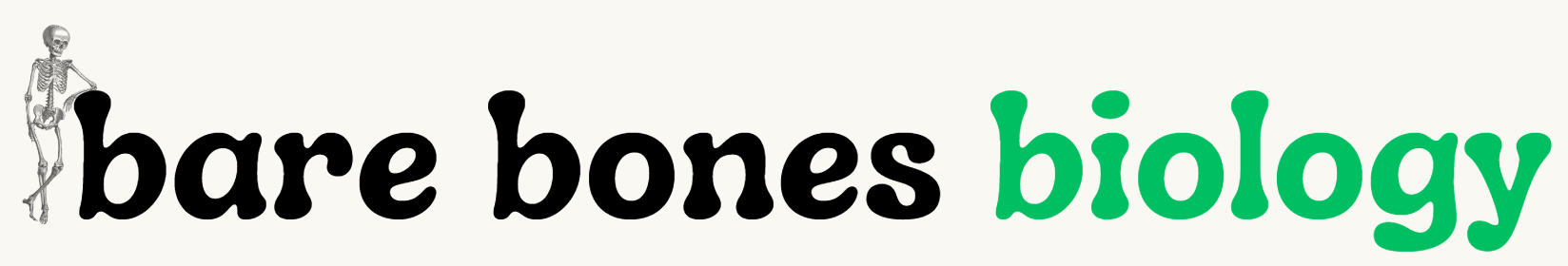 Bare Bones Biology